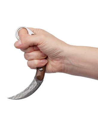 Nóż Karambit ze stali damasceńskiej TAKOMA N-955
